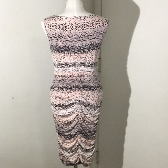 Cache Ruched Cheetah Dress - Picture 3 of 6